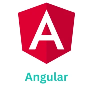 Web Development Services