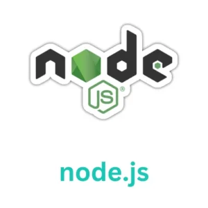 Website Development Company