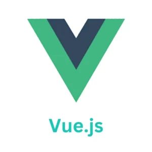 Best Web Designer